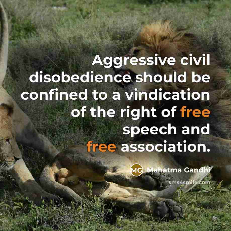 “Aggressive civil disobedience should be confined to a vindication of…” quote by Mahatma Gandhi