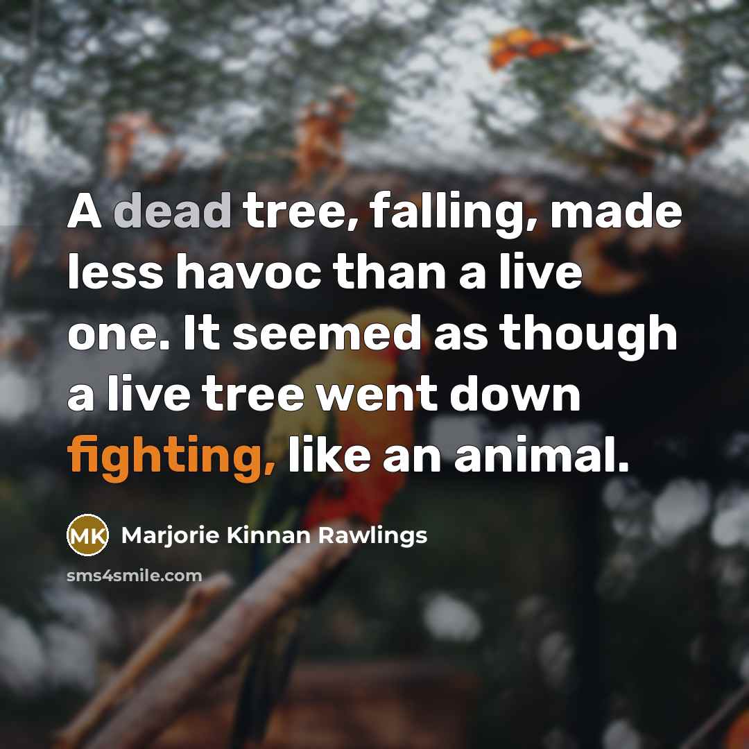 “A dead tree, falling, made less havoc than a live…” quote by Marjorie Kinnan Rawlings