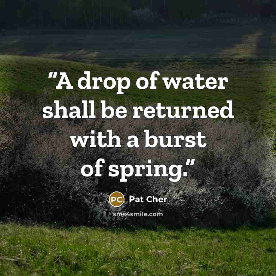 “A drop of water shall be returned with a burst of spring.” quote by Pat Cher