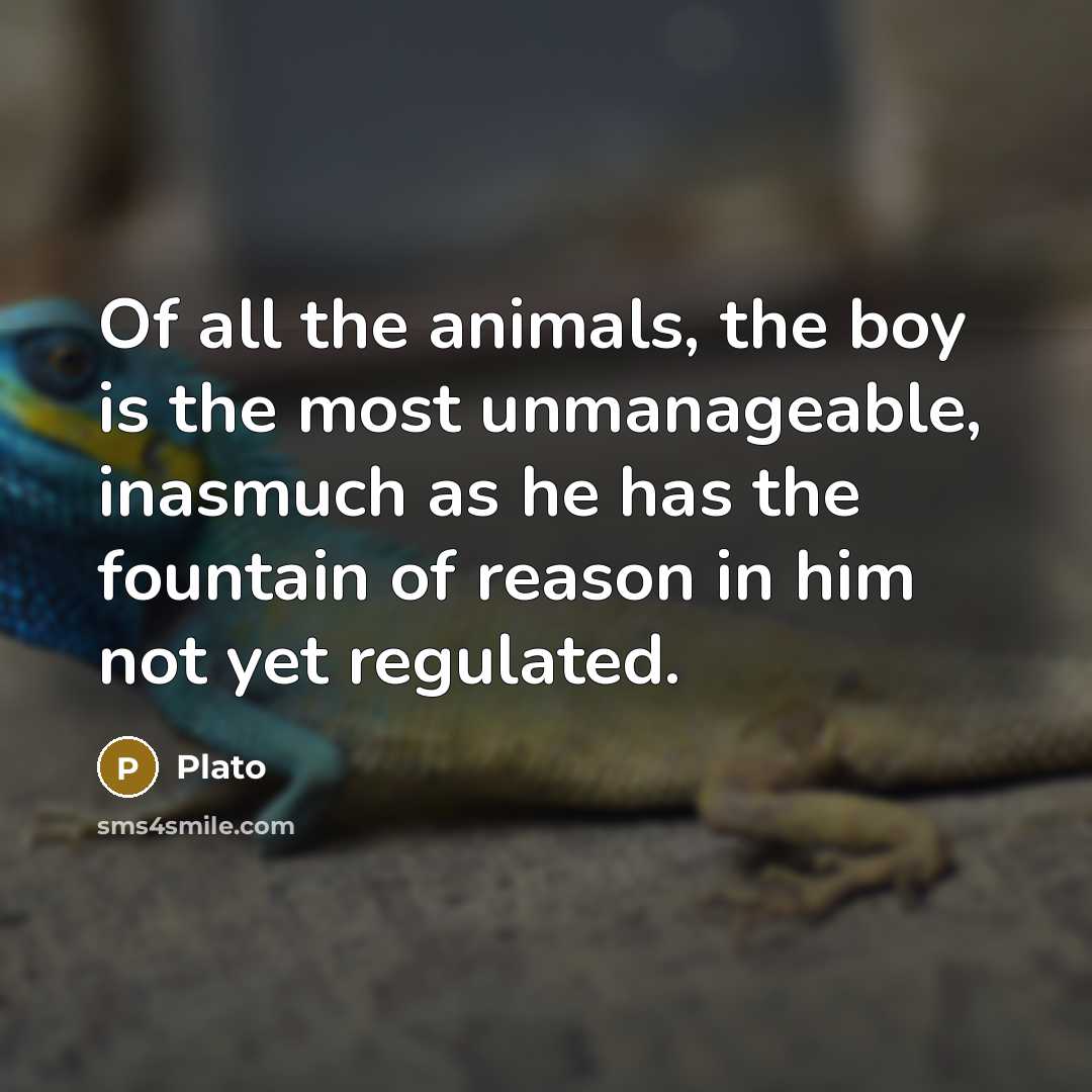 “Of all the animals, the boy is the most unmanageable,…” quote by Plato