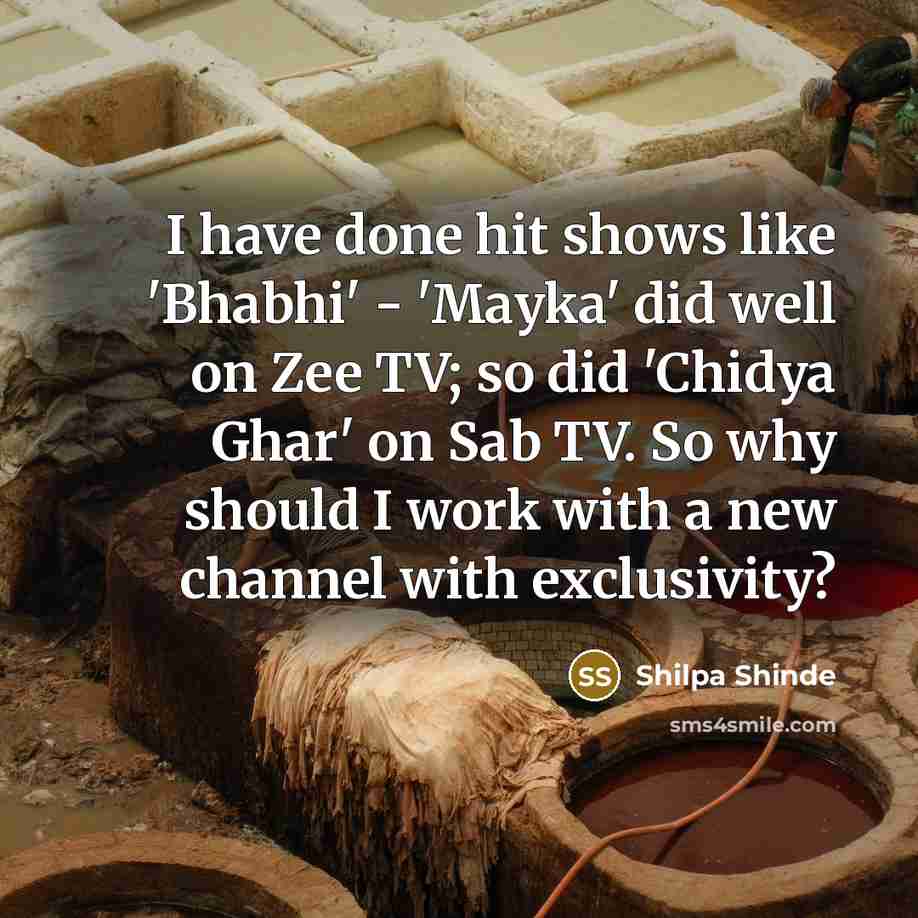 “I have done hit shows like 'Bhabhi' - 'Mayka' did…” quote by Shilpa Shinde