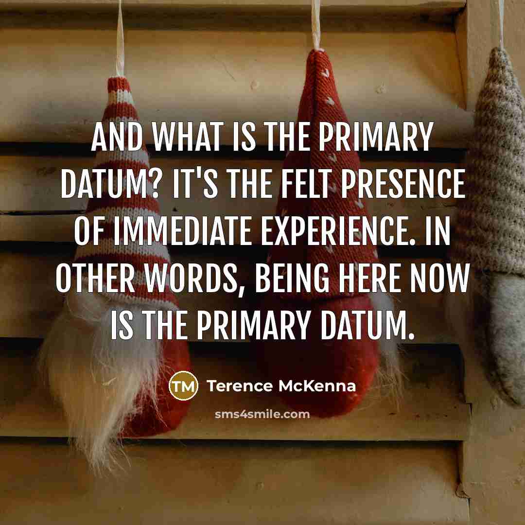 “And what is the primary datum? It's the felt presence…” quote by Terence McKenna