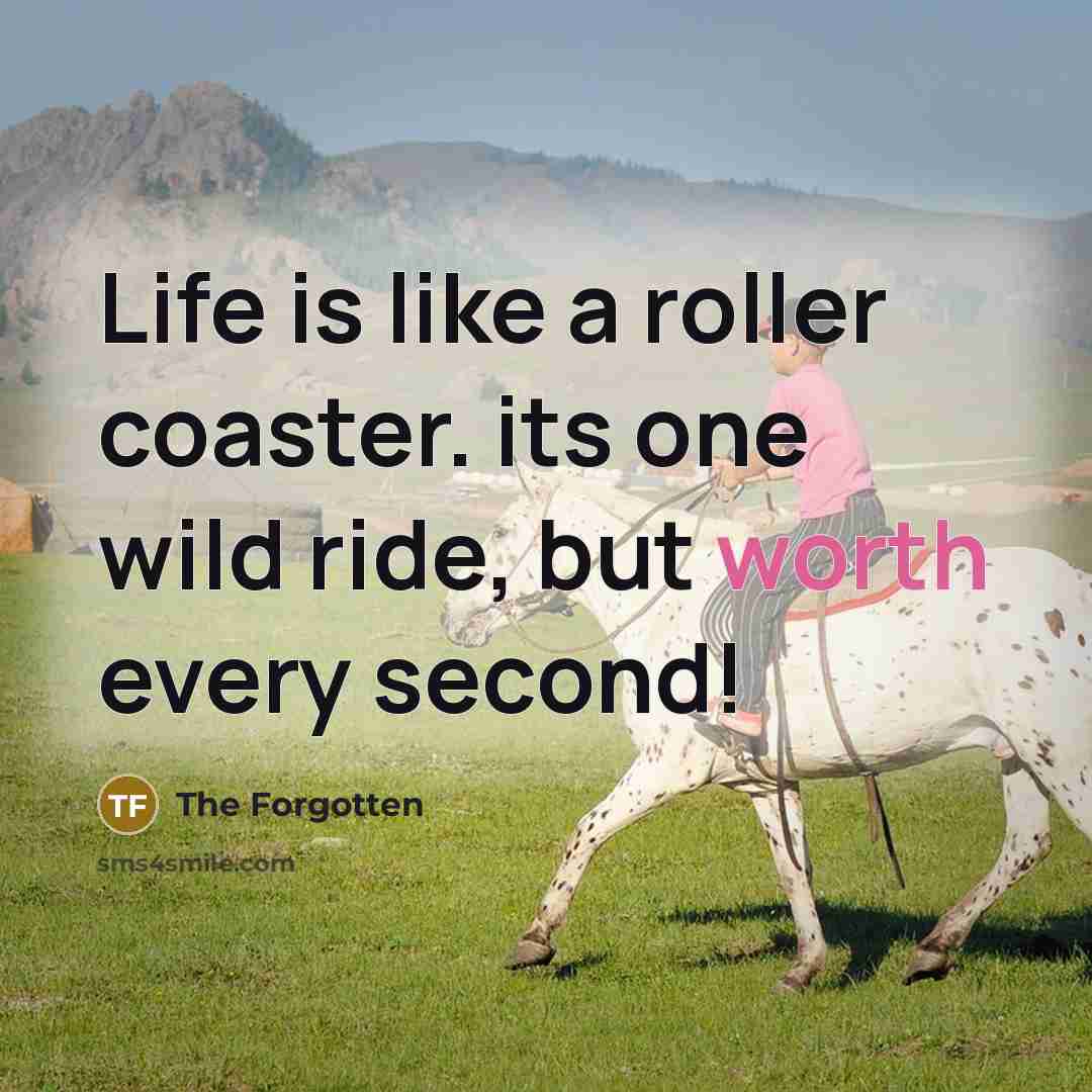 “Life is like a roller coaster. its one wild ride, but worth every second!” quote by The Forgotten