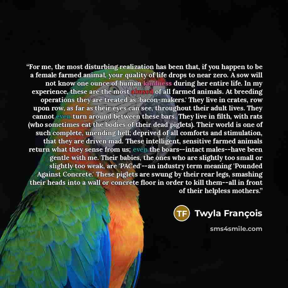 “For me, the most disturbing realization has been that, if you happen to be a female farmed animal, your quality of life drops to near zero. A sow will not know one ounce of human kindness during her entire life. In my experience, these are the most abused of all farmed animals. At breeding…” quote by Twyla François