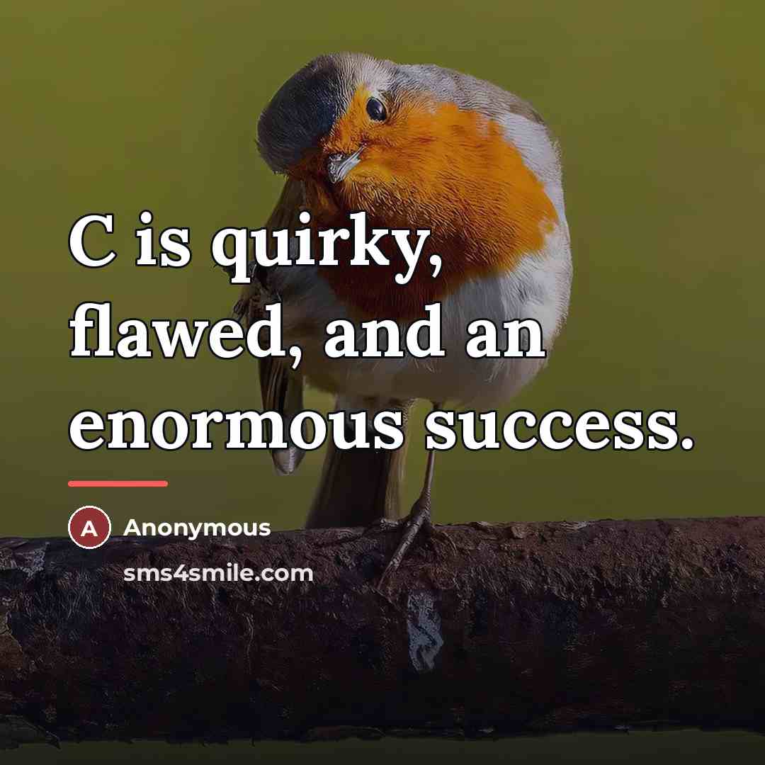 “C is quirky, flawed, and an enormous success.…” quote by Anonymous