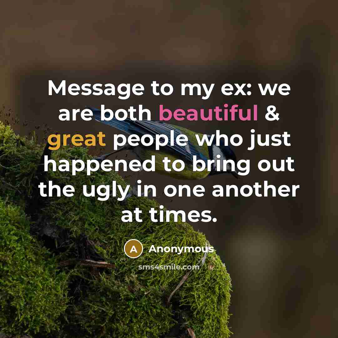 “Message to my ex: we are both beautiful & great…” quote by Anonymous