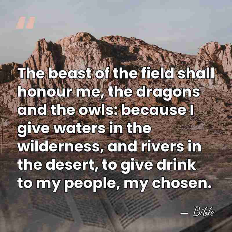 The beast of the field shall honour me, the dragons and the&hellip; - Bible