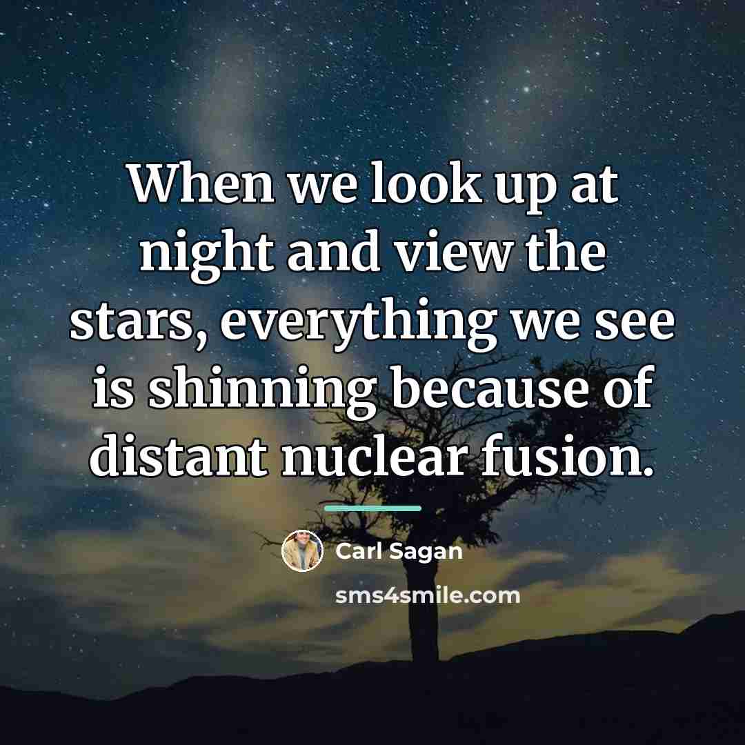 “When we look up at night and view the stars,…” quote by Carl Sagan