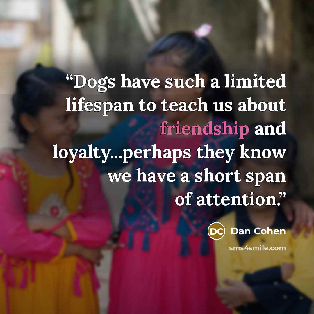 “Dogs have such a limited lifespan to teach us about friendship and loyalty...perhaps they know we have a short span of attention.” quote by Dan Cohen