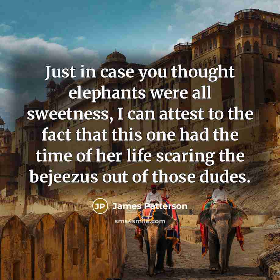 “Just in case you thought elephants were all sweetness, I…” quote by James Patterson