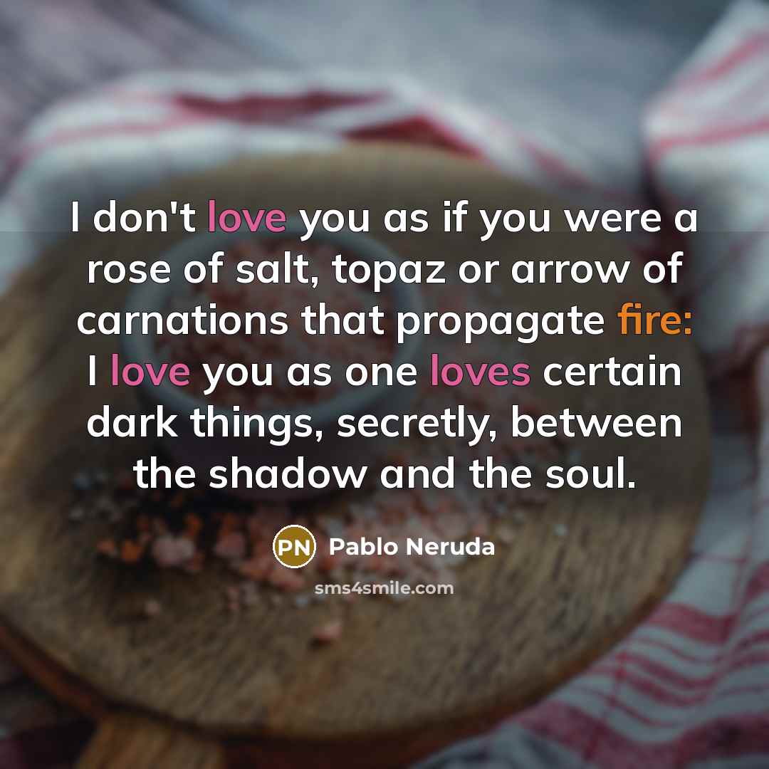 “I don't love you as if you were a rose…” quote by Pablo Neruda