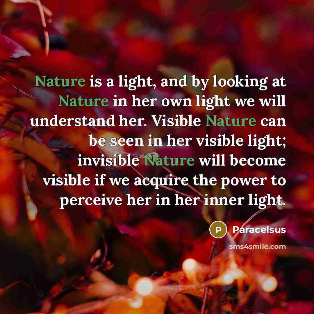 “Nature is a light, and by looking at Nature in…” quote by Paracelsus