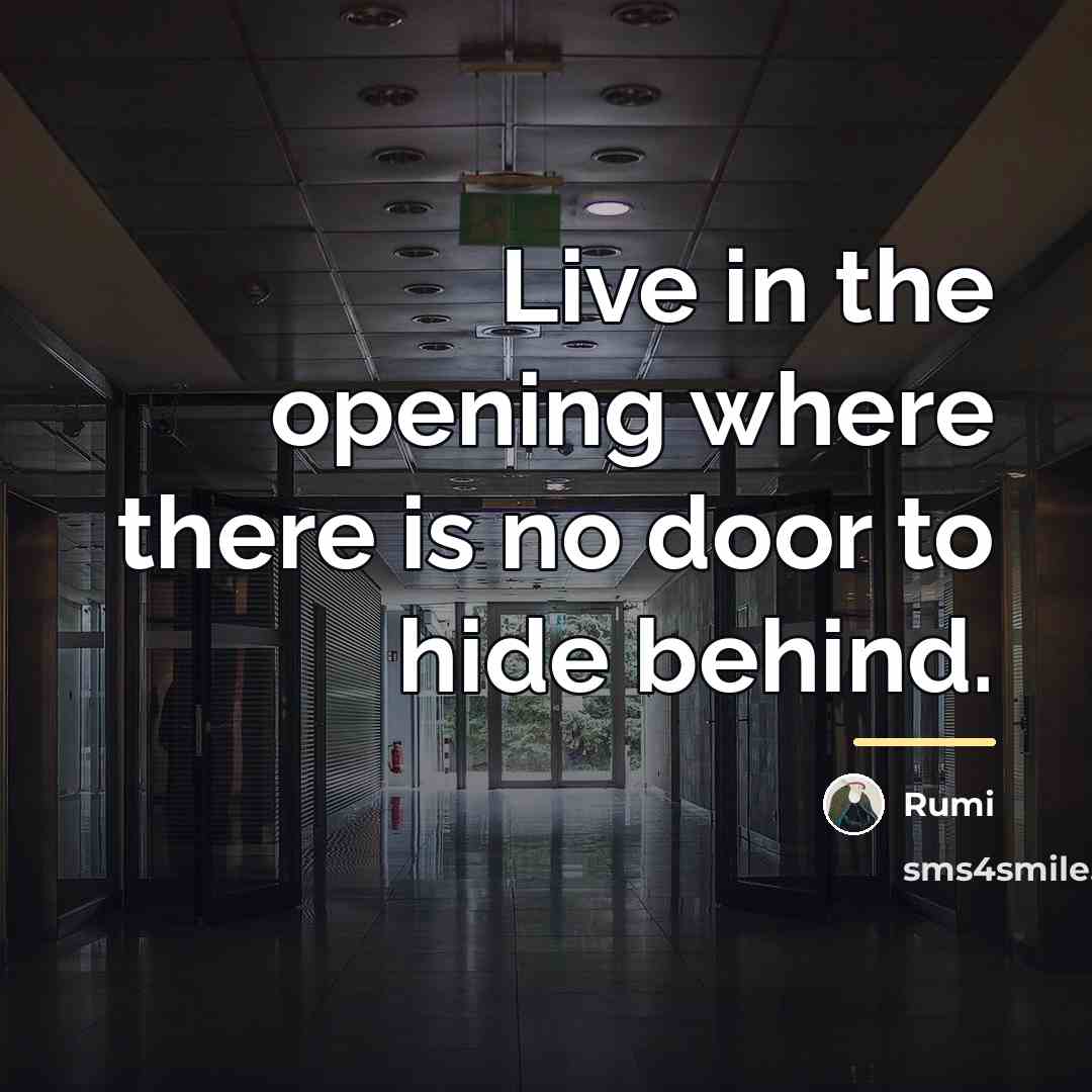 “Live in the opening where there is no door to…” quote by Rumi