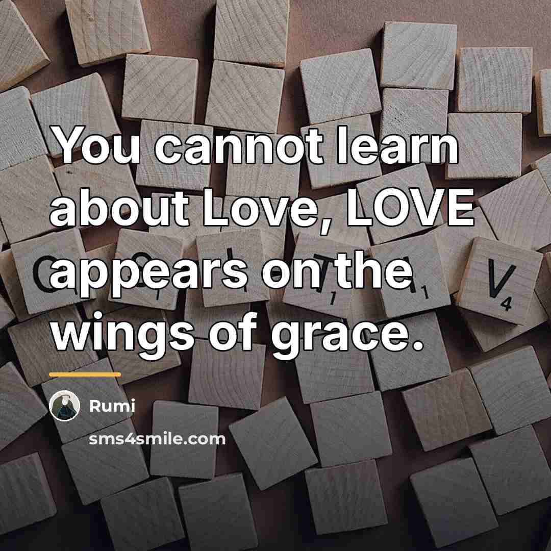 “You cannot learn about Love, LOVE appears on the wings…” quote by Rumi