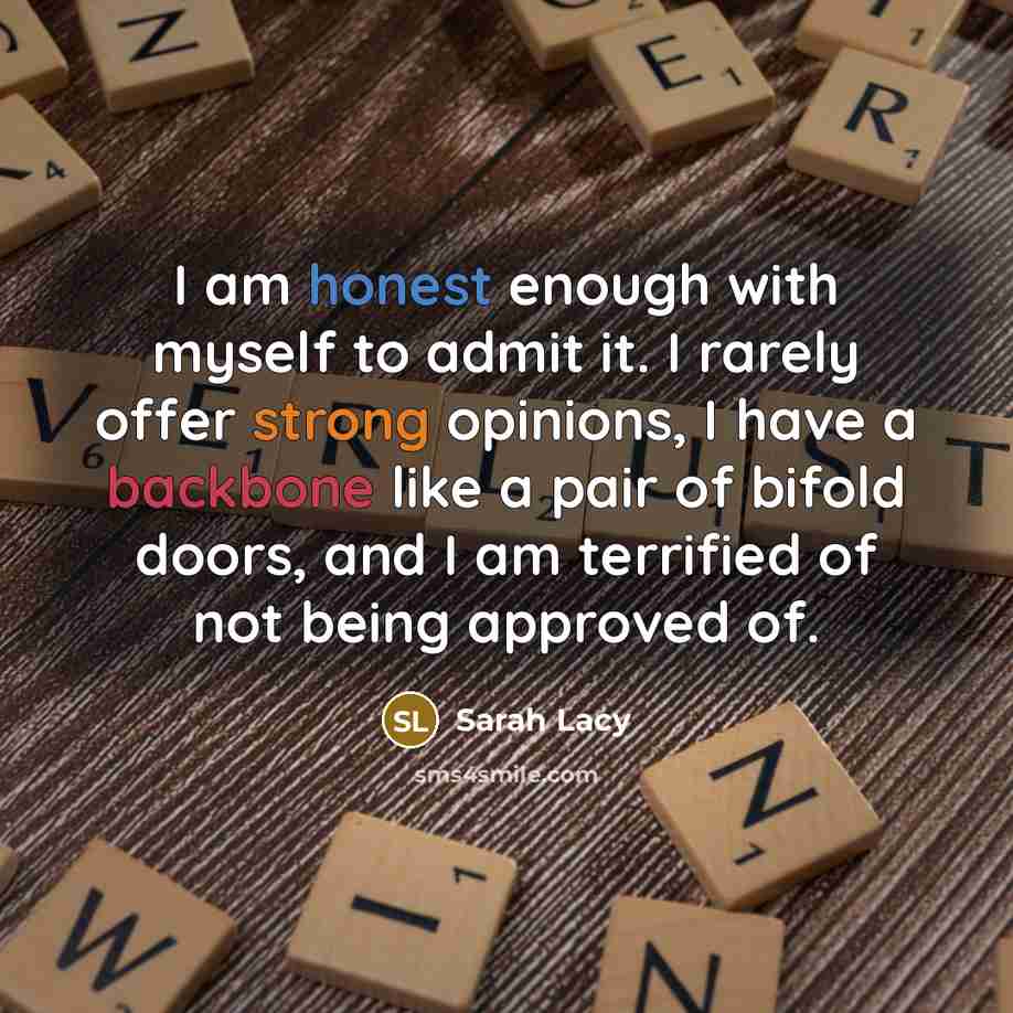“I am honest enough with myself to admit it. I rarely offer strong opinions, I have a backbone like a pair of bifold doors, and I am terrified of not being approved of.” quote by Sarah Lacy