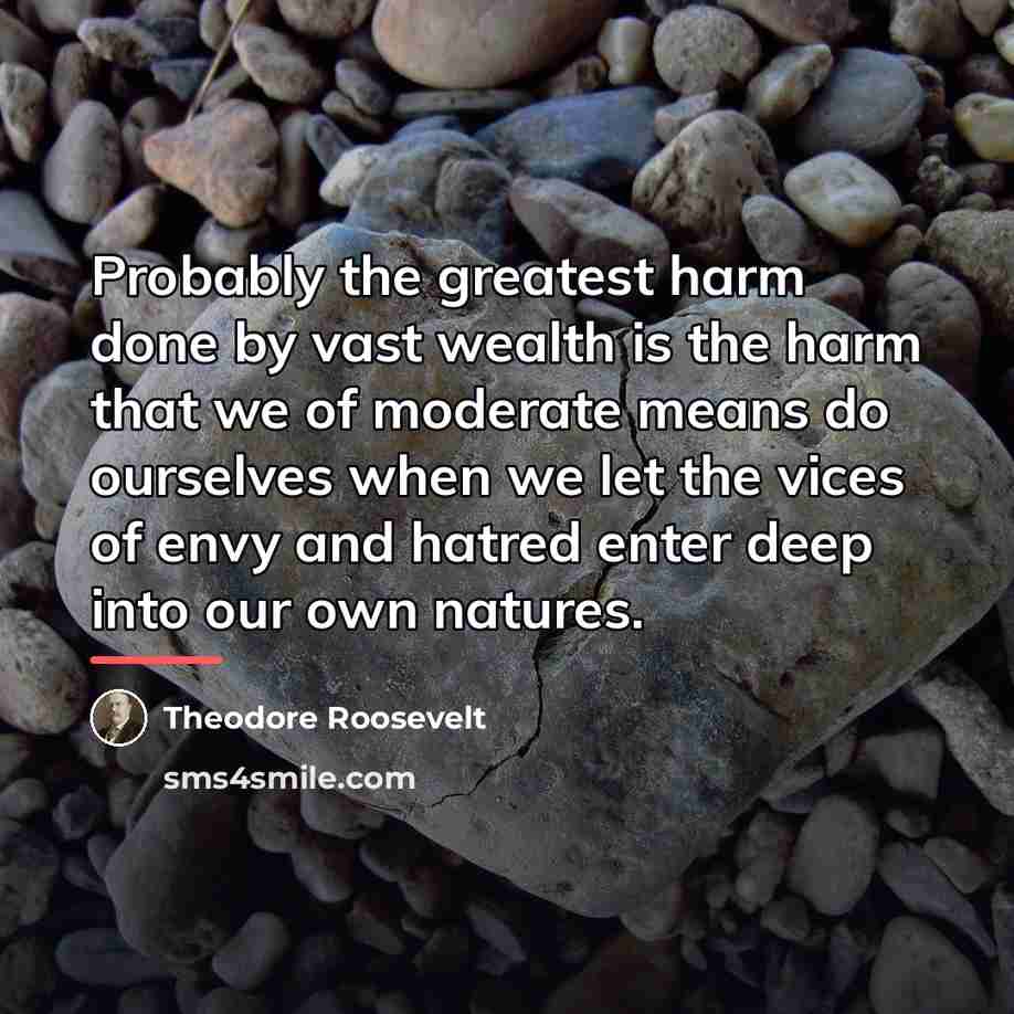 “Probably the greatest harm done by vast wealth is the…” quote by Theodore Roosevelt