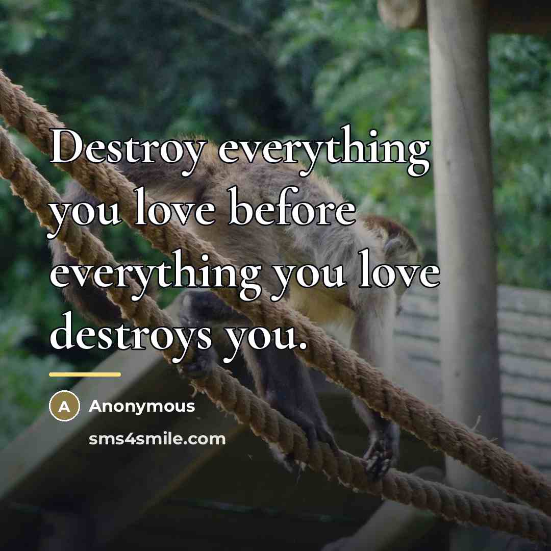 “Destroy everything you love before everything you love destroys you.…” quote by Anonymous