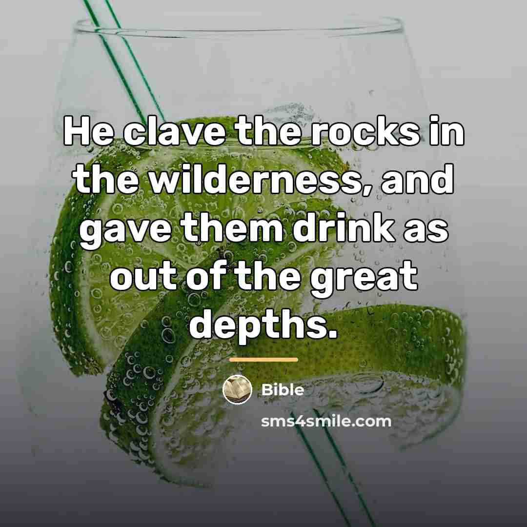 “He clave the rocks in the wilderness, and gave them…” quote by Bible