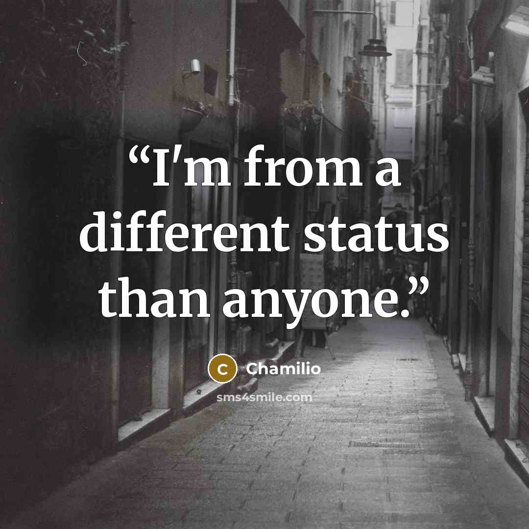 “I'm from a different status than anyone.” quote by Chamilio