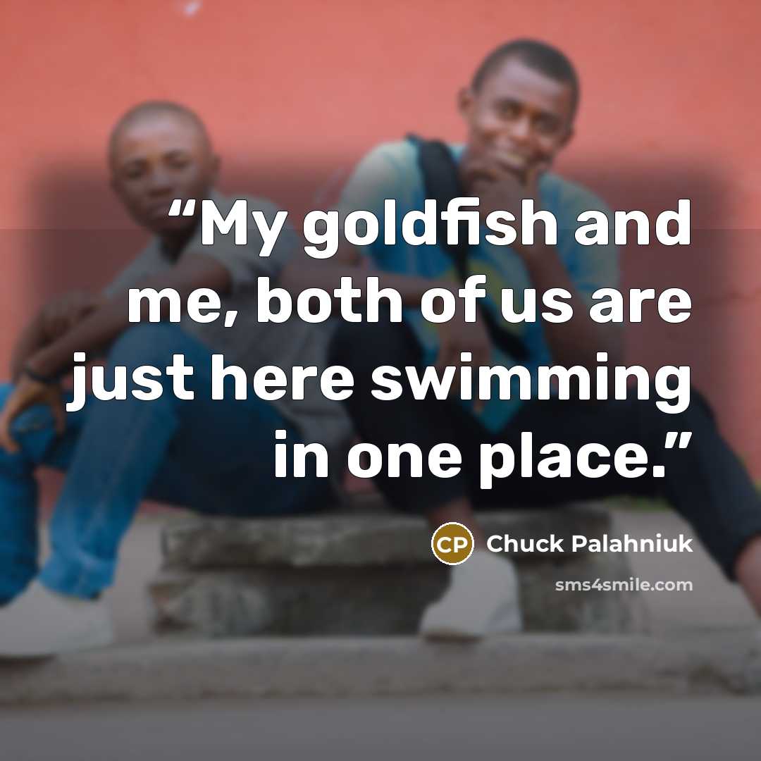 “My gold­fish and me, both of us are just here swim­ming in one place.” quote by Chuck Palahniuk