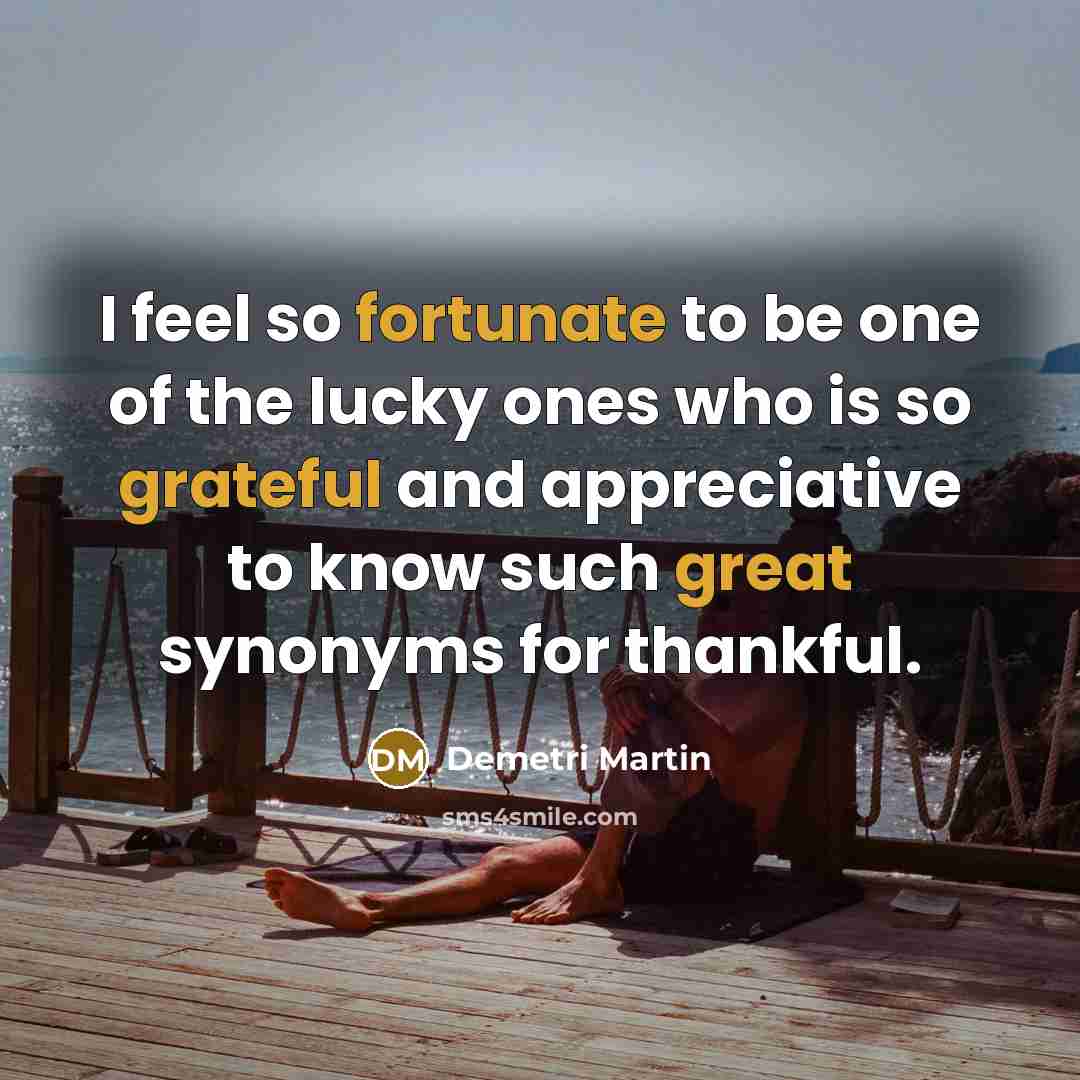 “I feel so fortunate to be one of the lucky…” quote by Demetri Martin