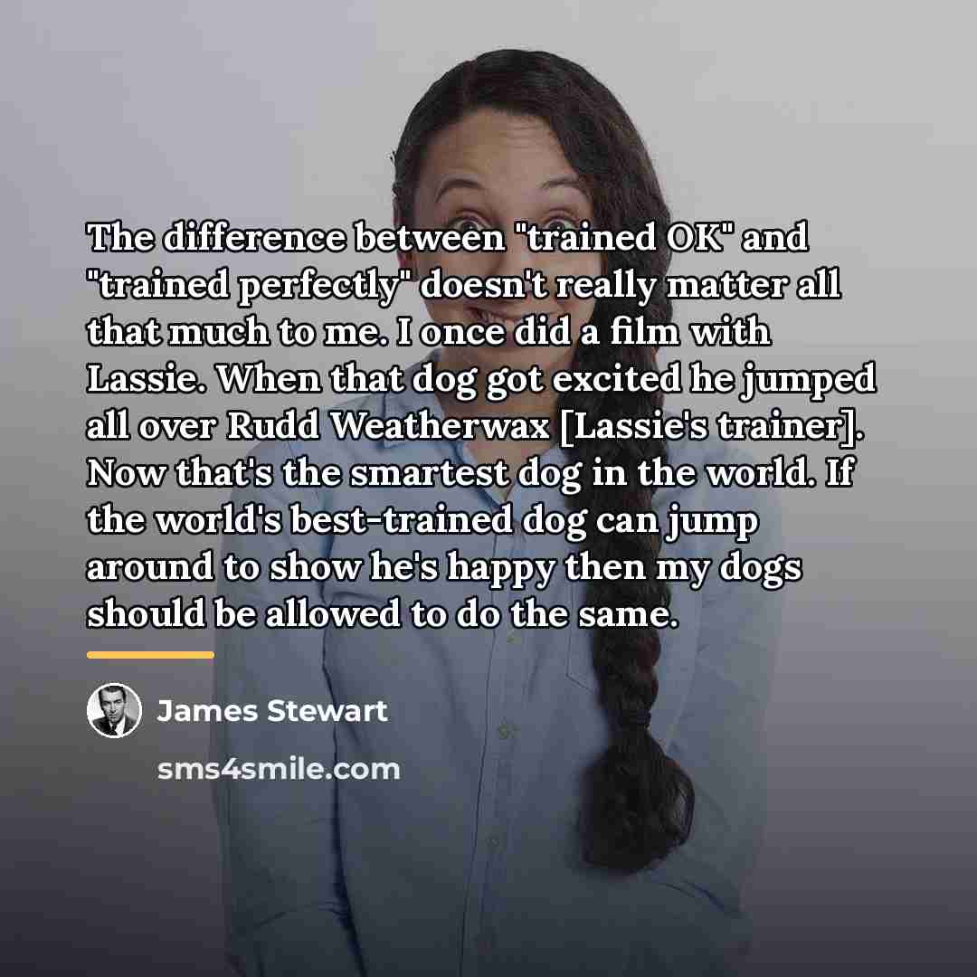“The difference between "trained OK" and "trained perfectly" doesn't really…” quote by James Stewart