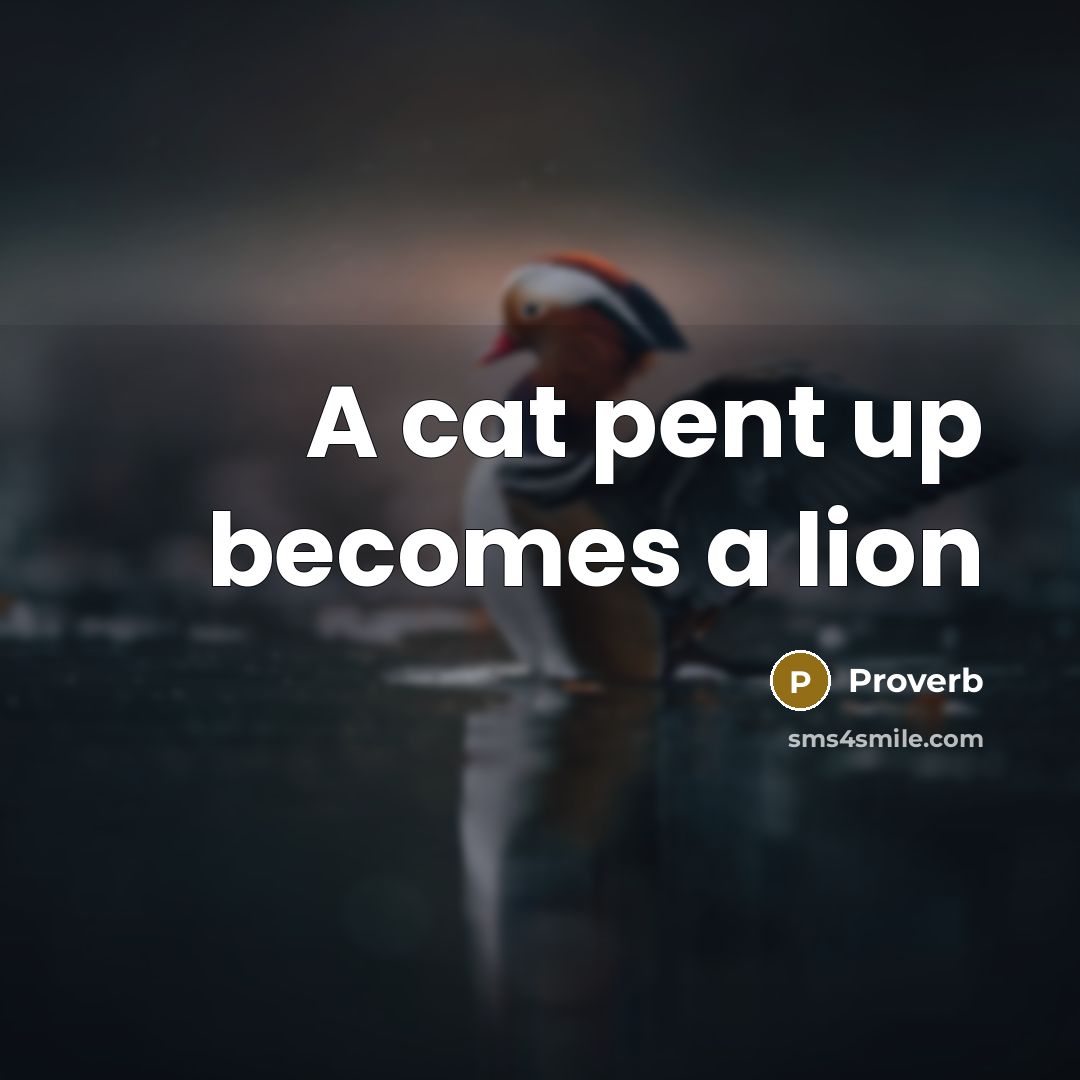 “A cat pent up becomes a lion…” quote by Proverb