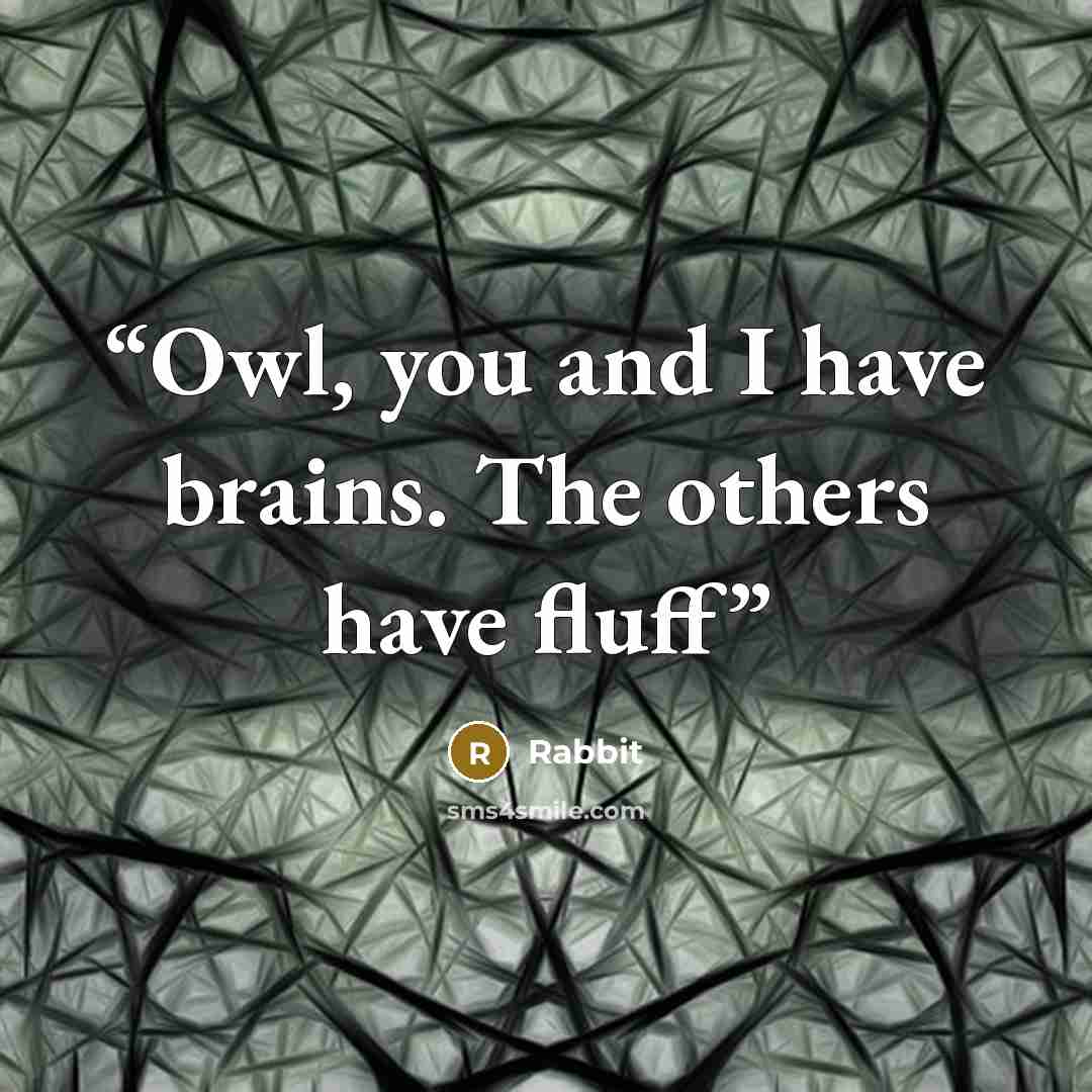 “Owl, you and I have brains. The others have fluff” quote by Rabbit
