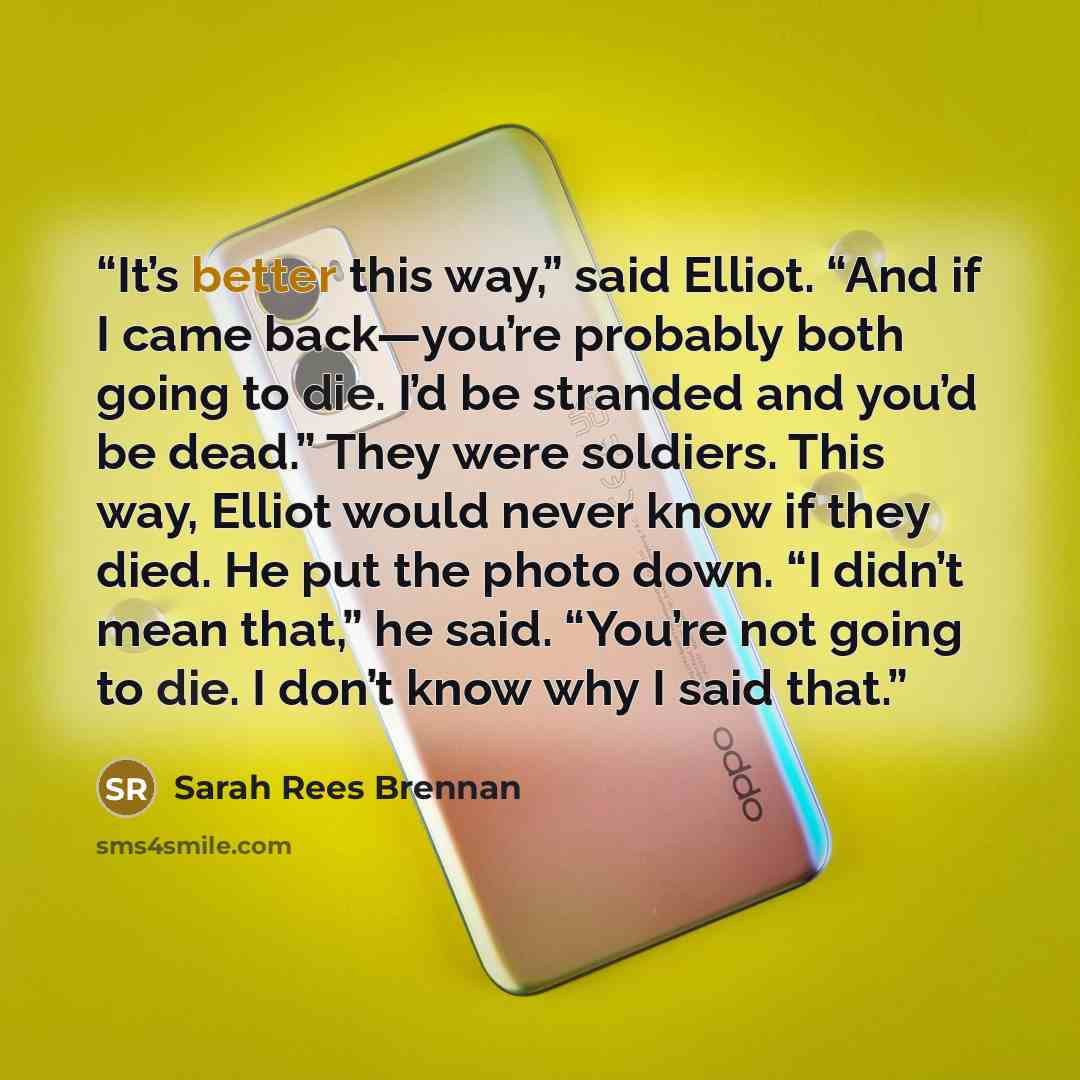 “It’s better this way,” said Elliot. “And if I came back—you’re probably both going to die. I’d be stranded and you’d be dead.” They were soldiers. This way, Elliot would never know if they died. He put the photo down. “I didn’t mean that,” he said. “You’re not going to die. I don’t know why I said…” quote by Sarah Rees Brennan