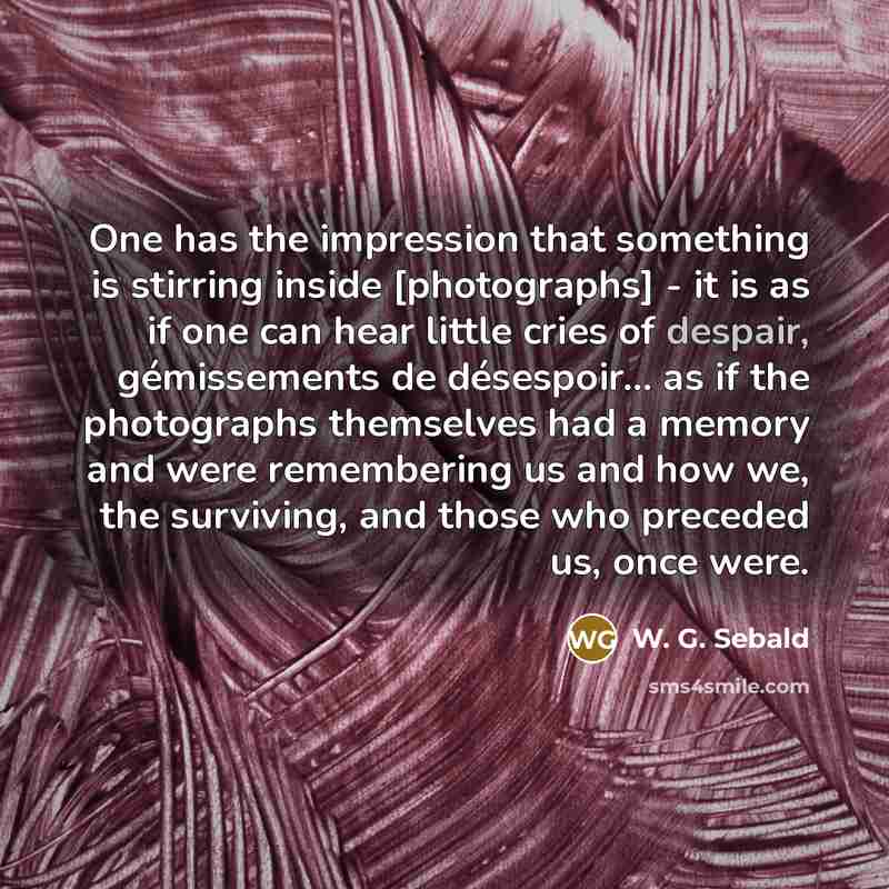 “One has the impression that something is stirring inside [photographs]…” quote by W. G. Sebald