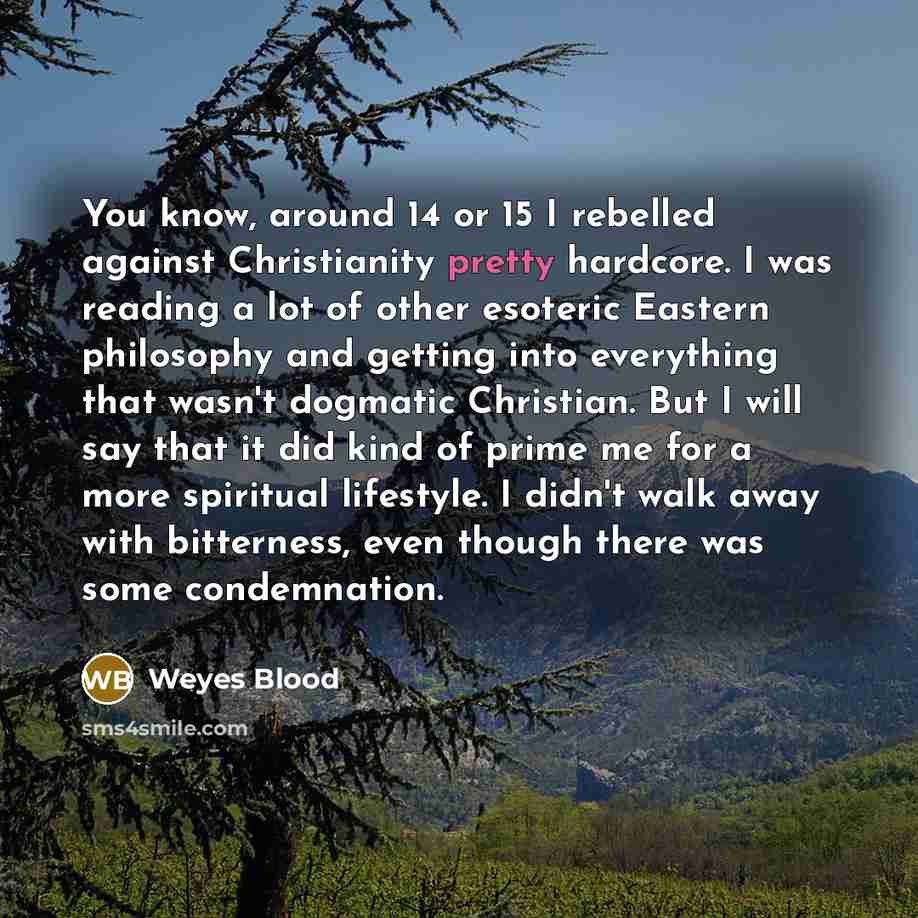 “You know, around 14 or 15 I rebelled against Christianity…” quote by Weyes Blood