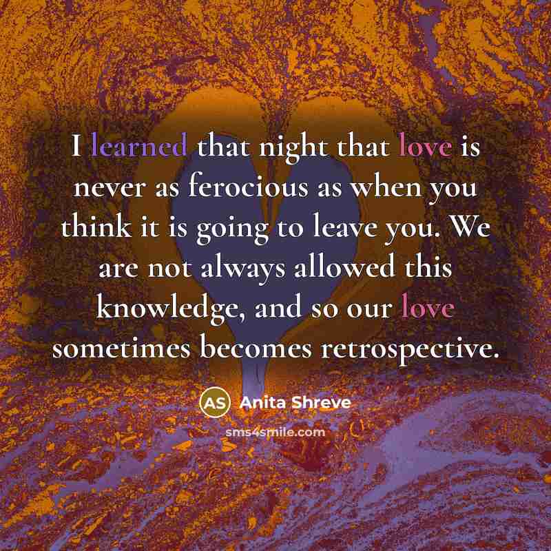 “I learned that night that love is never as ferocious…” quote by Anita Shreve