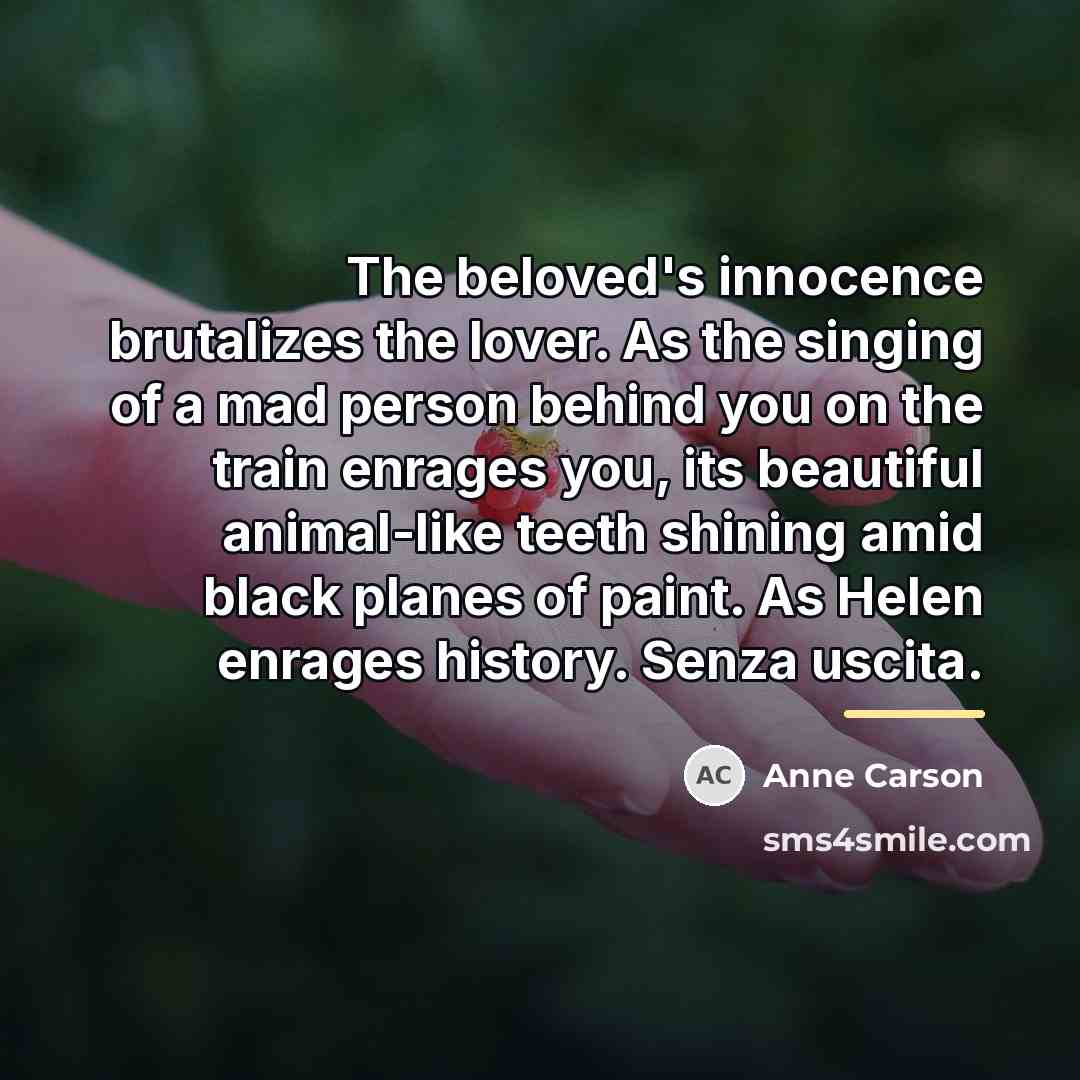 “The beloved's innocence brutalizes the lover. As the singing of…” quote by Anne Carson