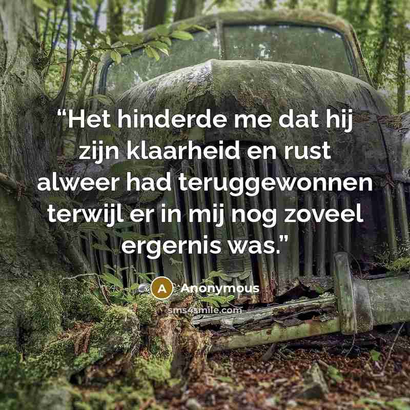 “Het hinderde me dat hij zijn klaarheid en rust alweer had teruggewonnen terwijl er in mij nog zoveel ergernis was.” quote by Anonymous