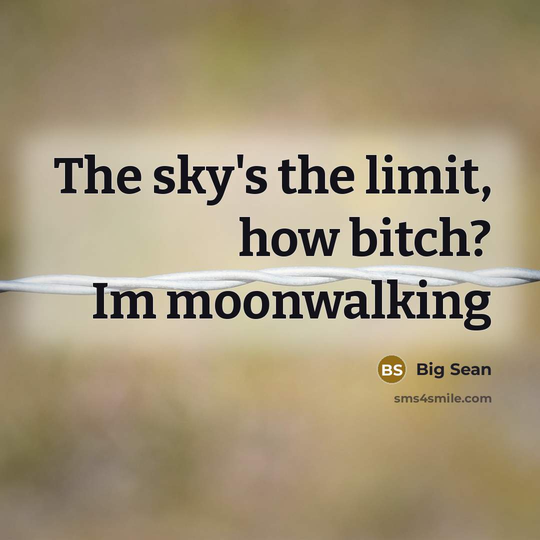 “The sky's the limit, how bitch? Im moonwalking…” quote by Big Sean