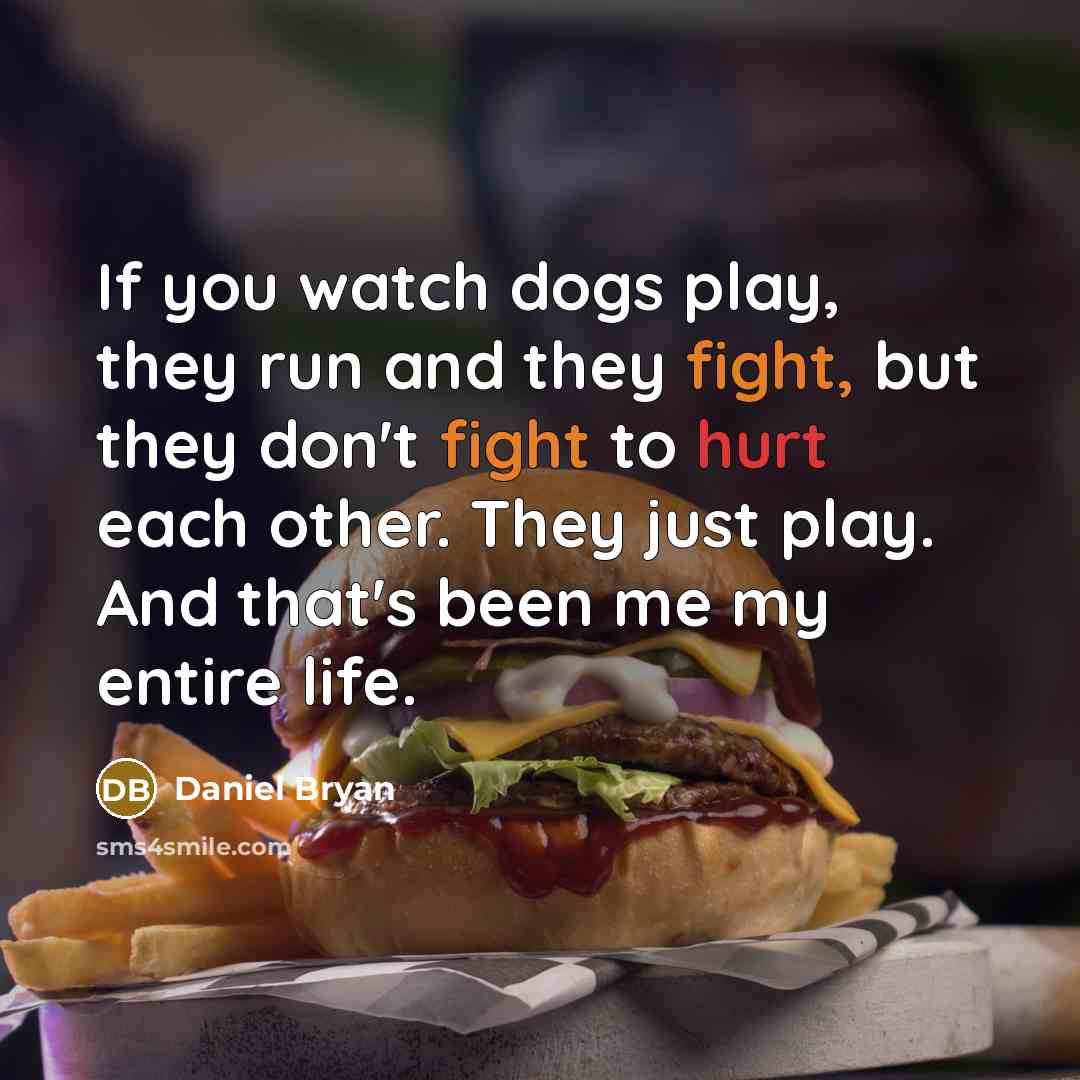 “If you watch dogs play, they run and they fight,…” quote by Daniel Bryan