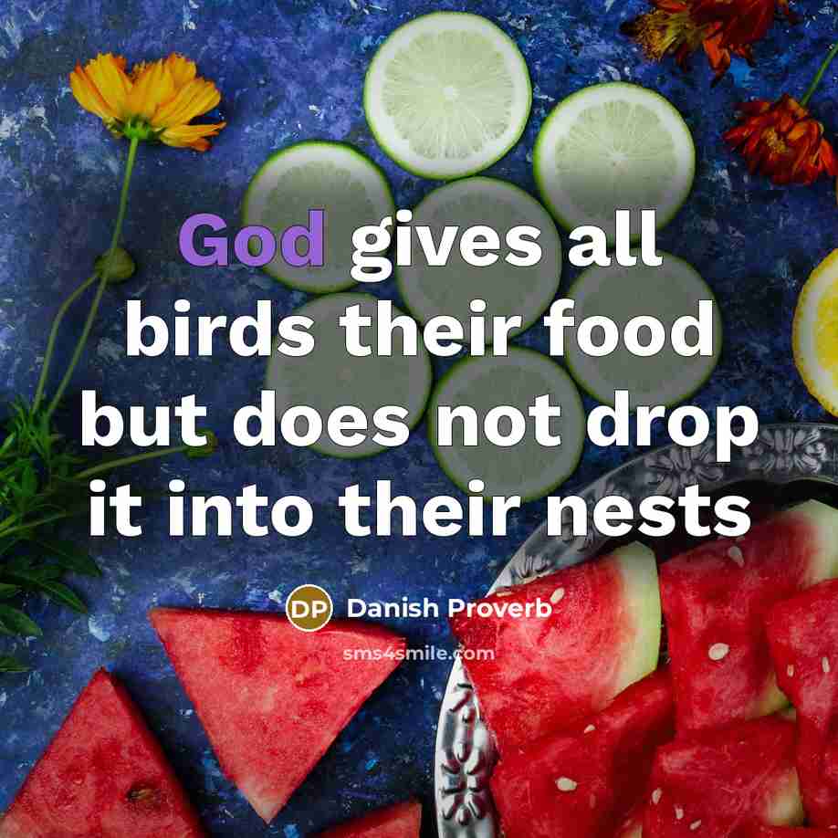 “God gives all birds their food but does not drop…” quote by Danish Proverb