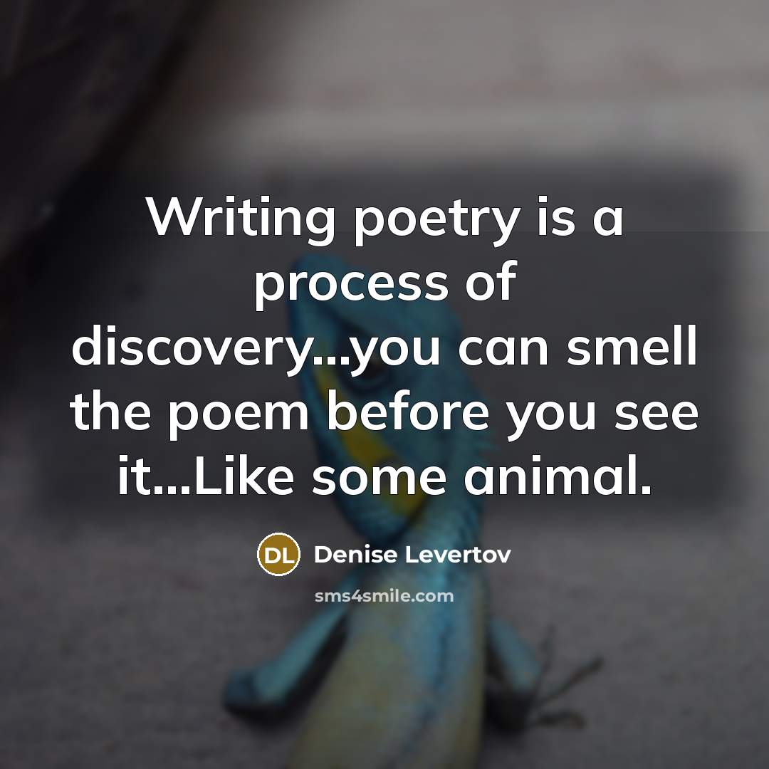 “Writing poetry is a process of discovery...you can smell the…” quote by Denise Levertov
