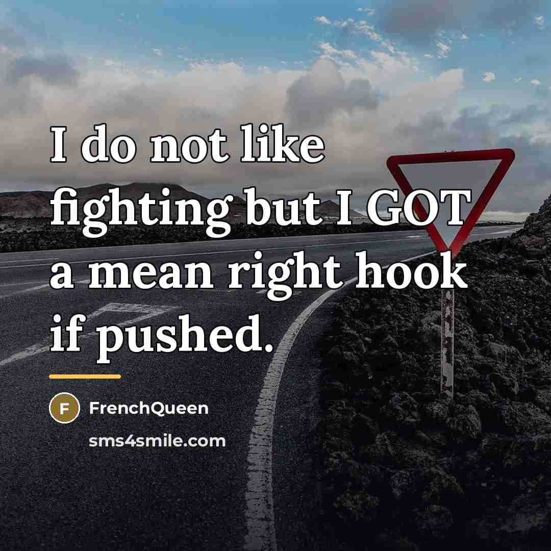 “I do not like fighting but I GOT a mean…” quote by Frenchqueen
