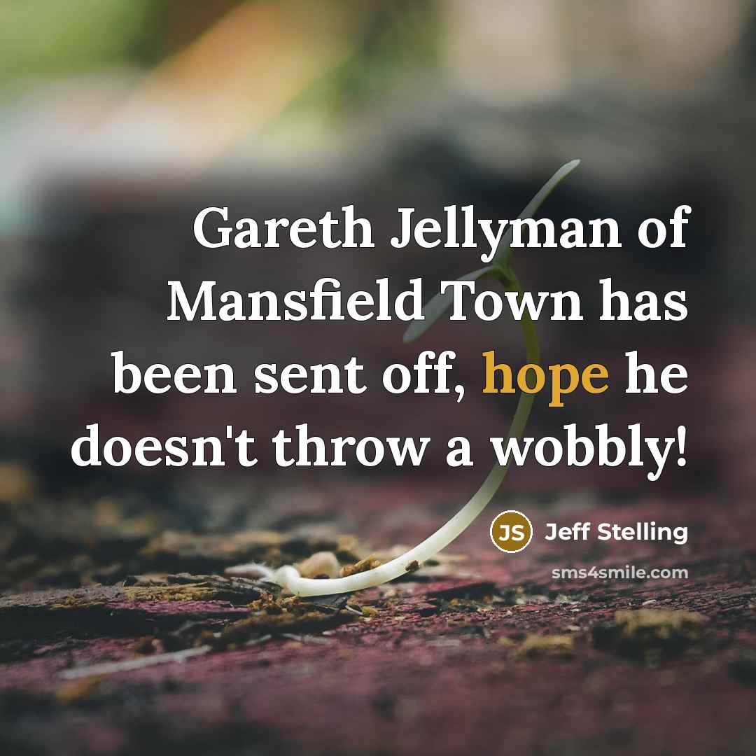 “Gareth Jellyman of Mansfield Town has been sent off, hope…” quote by Jeff Stelling