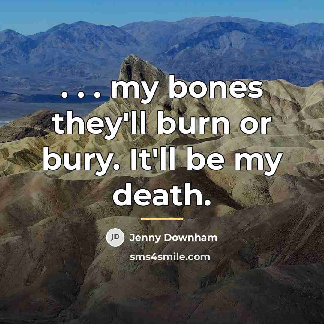 “. . . my bones they'll burn or bury. It'll…” quote by Jenny Downham