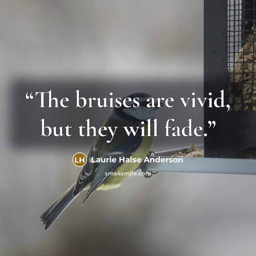 “The bruises are vivid, but they will fade.” quote by Laurie Halse Anderson
