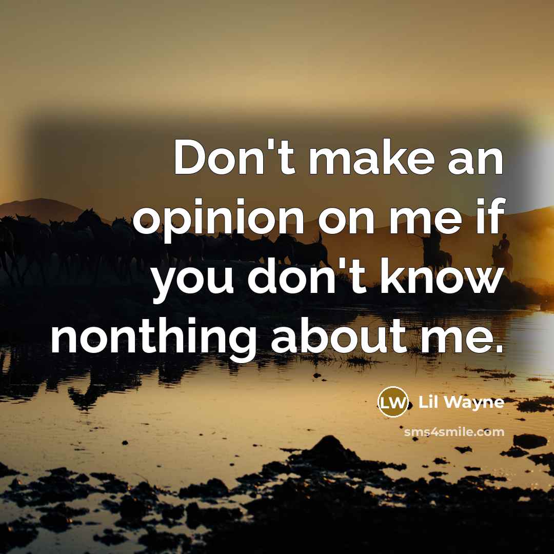 “Don't make an opinion on me if you don't know nonthing about me.” quote by Lil Wayne