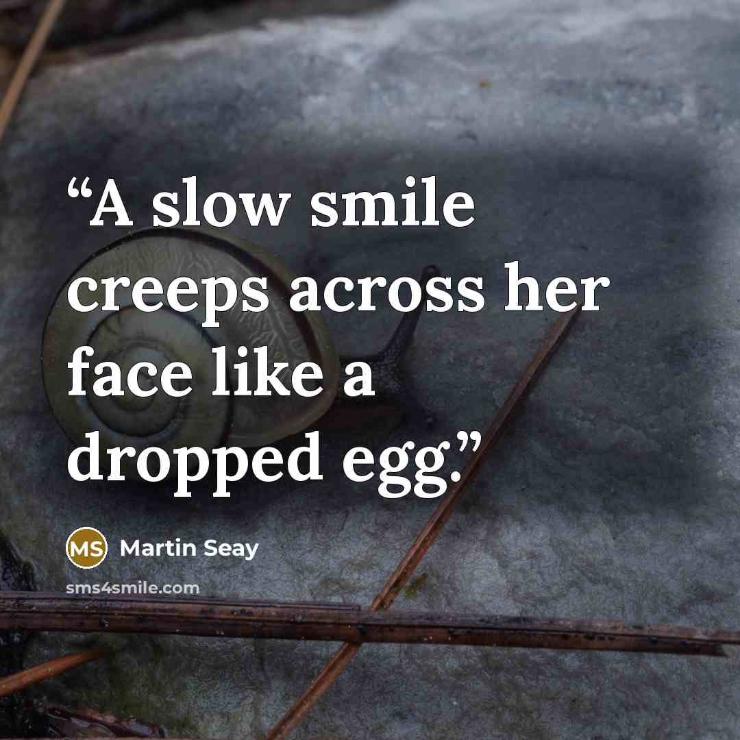“A slow smile creeps across her face like a dropped egg.” quote by Martin Seay