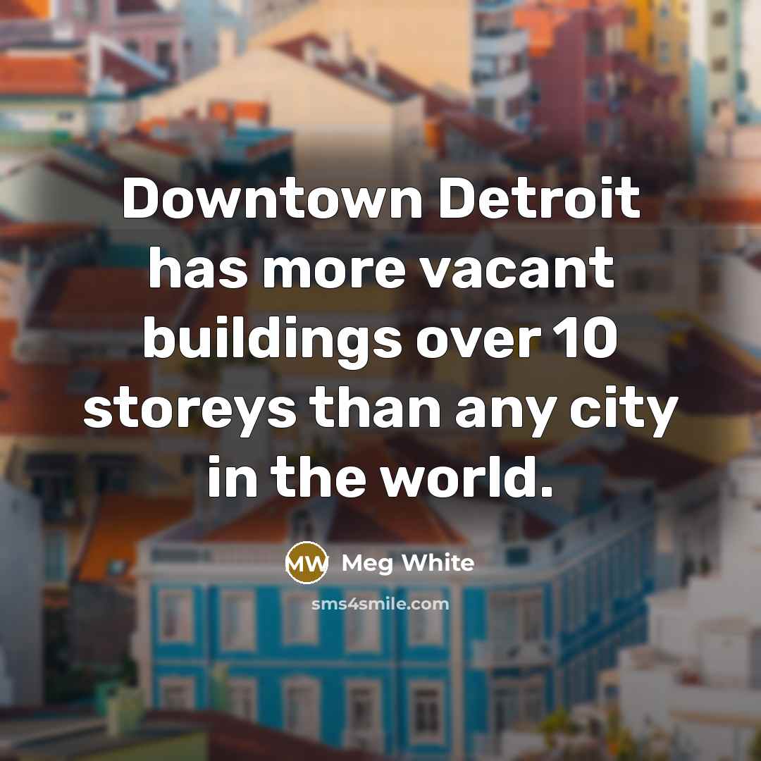 “Downtown Detroit has more vacant buildings over 10 storeys than…” quote by Meg White