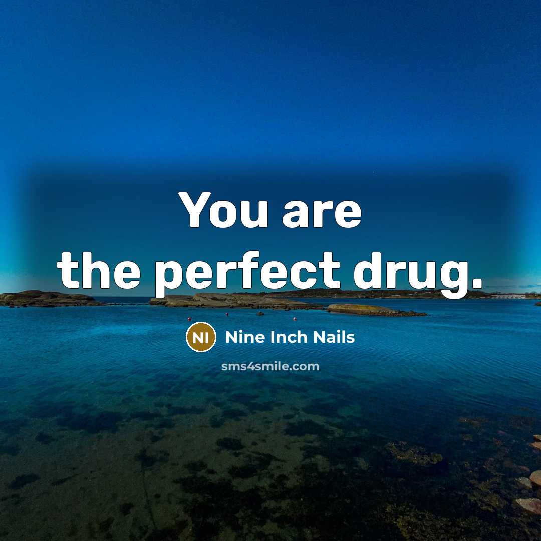 “You are the perfect drug.…” quote by Nine Inch Nails