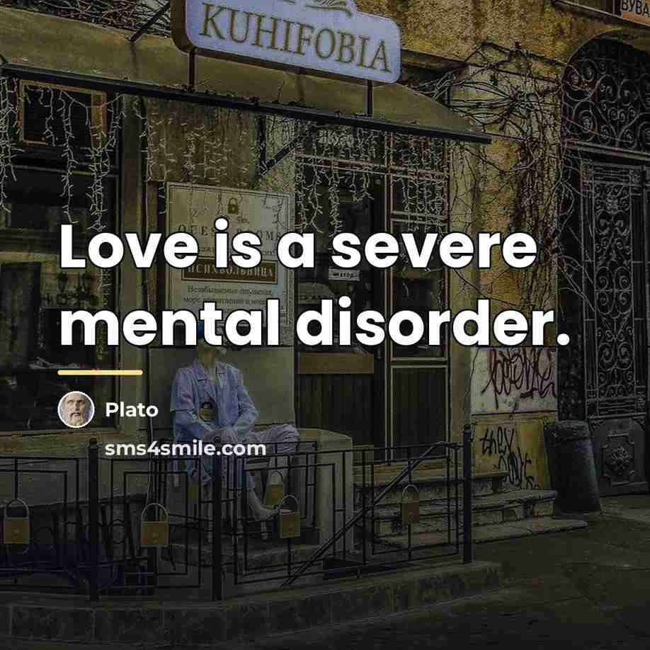 “Love is a severe mental disorder.…” quote by Plato
