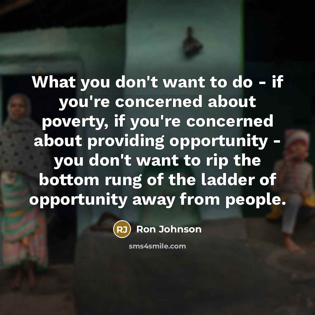 “What you don't want to do - if you're concerned…” quote by Ron Johnson