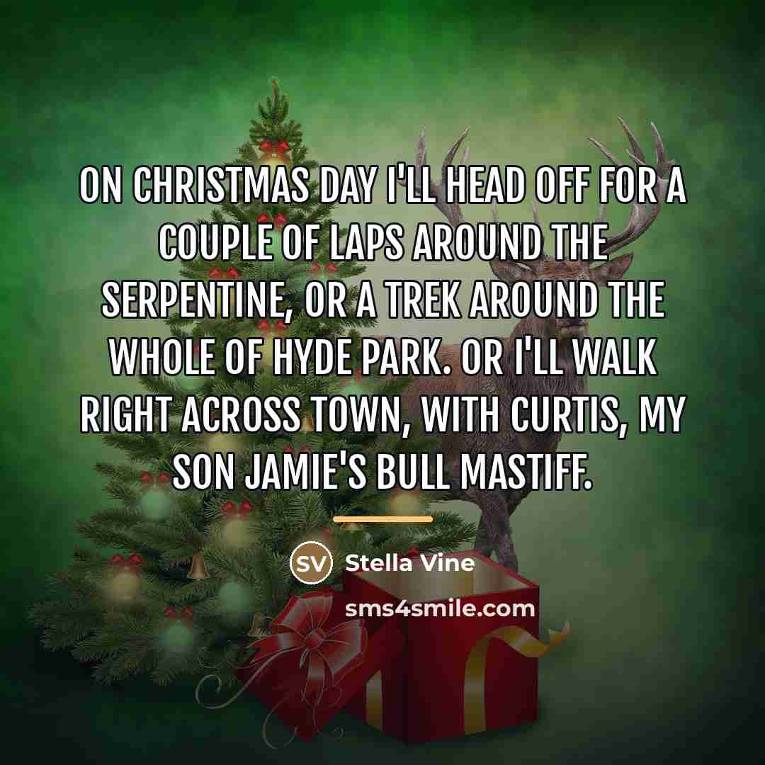 “On Christmas Day I'll head off for a couple of…” quote by Stella Vine