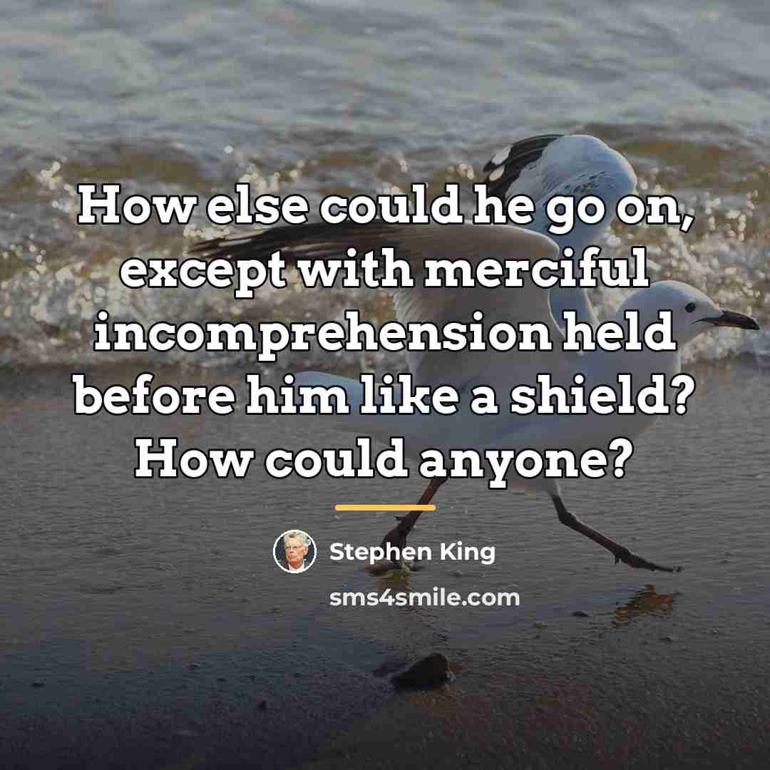 “How else could he go on, except with merciful incomprehension…” quote by Stephen King
